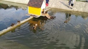 Верхние Голубые озера