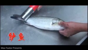 Уникальная электрическая рыбочистка