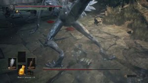 Dark Souls III Снедаемый Оцейрус