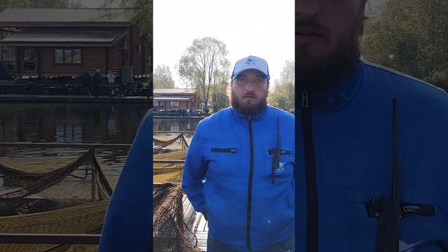 Информация о запусках на завтра. Садки. Форель смотреть онлайн