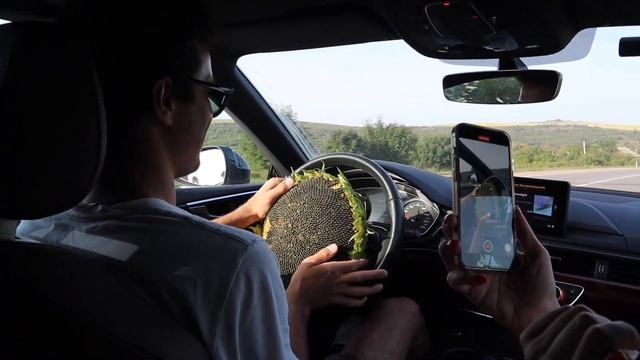 ПРОПАЛ В ГОРАХ / ПЕРВЫЙ РАЗ НА ЯХТЕ / ВЛОГ смотреть онлайн