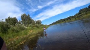 Рыбалка в Вологодской обл., Август 2023 Ходовая рыбалка на реке Чагодоща