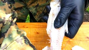 ВЯЛЕНАЯ РЫБА РЫБЕЦ, СУДАК РЕЦЕПТ ПРИГОТОВЛЕНИЯ СЮФ