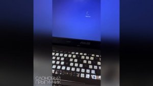 В Нью-Йорке попугай разобрал клавиатуру