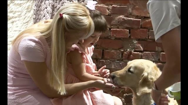 Канистерапия - лечение детей с помощью собаки