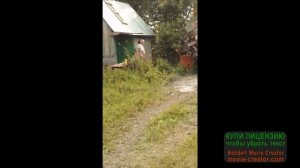 Обзор дома после зимы оставленный без крыши.  Можно ли оставлять дом ТАК?