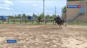 Конная полиция