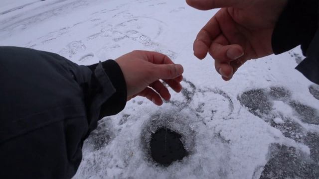 Зимняя Рыбалка.Бешеный Клёв щуки .Рыбалка С Ночёвкой смотреть онлайн