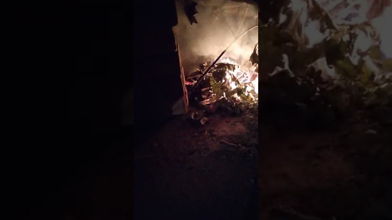 25 сентября 2022 г. смотреть онлайн