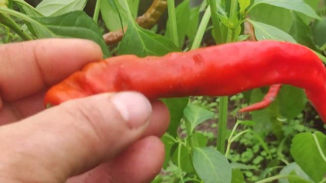 Домашние хлопоты 4 октября  С утра был выходной смотреть онлайн