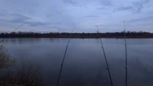 Упустил Лосося. Рыбалка на Луге. Октябрь.