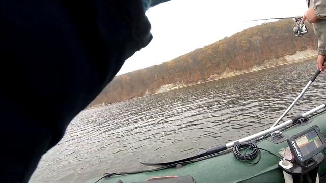 Лучшая приманка на судака. Ловля судака на поролон. Как ловить на спиннинг с лодки. смотреть онлайн