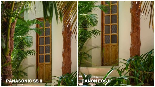 Panasonic Lumix S5 II VS Canon EOS R6 II | Camera Test & Comparison смотреть онлайн
