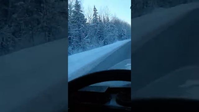 Тюмень (область) смотреть онлайн