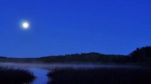 Л Бетховен Лунная соната Часть 1