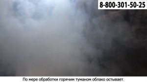 Горячий туман от клопов