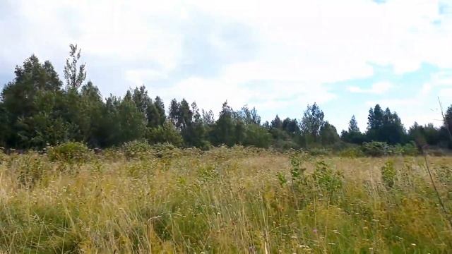 Значение лугов в природе и жизни человека. Человек и мир