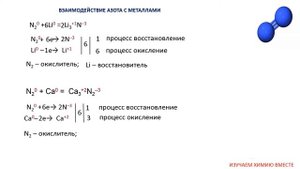 Химические свойства азот химия 9 класс