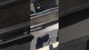 Рено Аркана замена сигнала