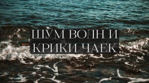 ЗВУКИ ПРИРОДЫ 002. Шум волн и крики чаек 🌊