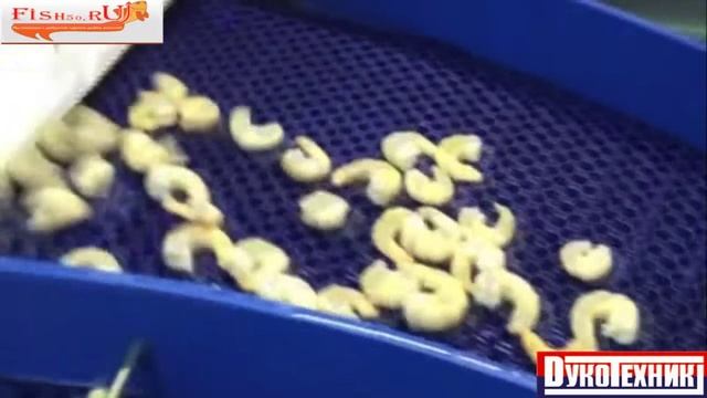 Линия производства креветки