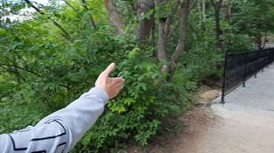 Кисловодск,  Ессентуки 2022. Ожидание/реальность. Смотрите и сами делайте выводы.