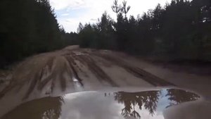 Отличная дорога в Разбойный бор