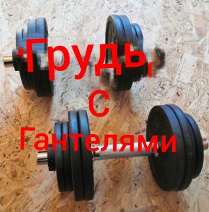 Тренировка груди дома /Упражнения для грудных мышц с гантелями