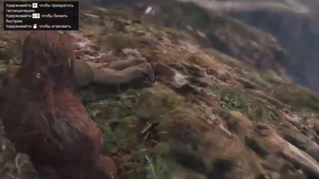 Все золотые лофофоры в ГТА 5 [7 штук] смотреть онлайн