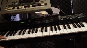 Split keyboard info on Roland D-20 synthesizer