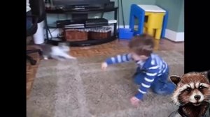 ПОДБОРКА ПРИКОЛОВ #7 Злые котики. «Кошка напала на ребёнка»