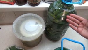 КВАШЕНЫЕ ОГУРЦЫ В БУТЫЛКЕ, УДОБНЫЙ СПОСОБ ЗАКВАСКИ ОГУРЦОВ, ЗАСОЛКА ОГУРЦОВ