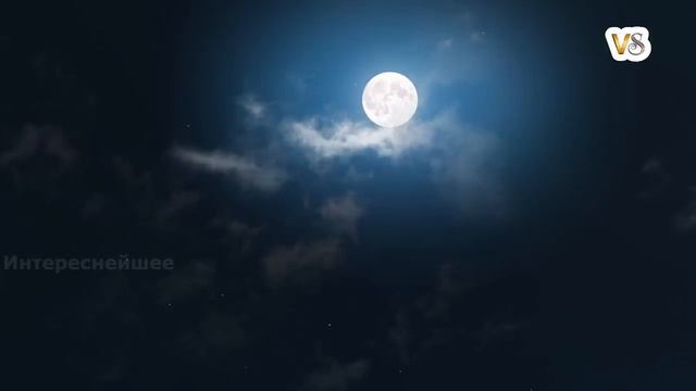 4 Видео, где МОНСТРЫ Из Кошмаров Существуют. Все снято на камеру. Реальные Кадры. Мистика смотреть онлайн