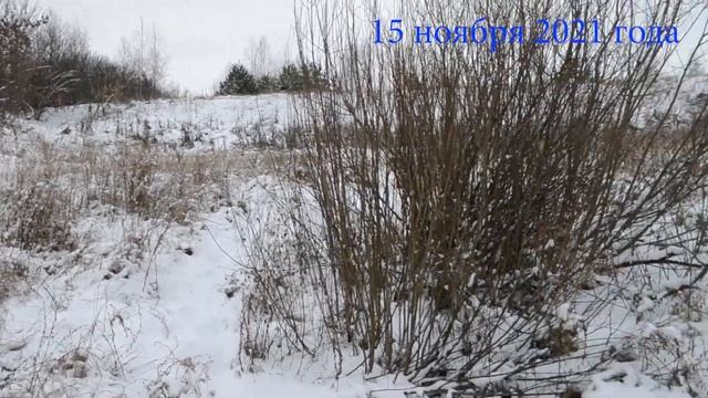 Родники почистим