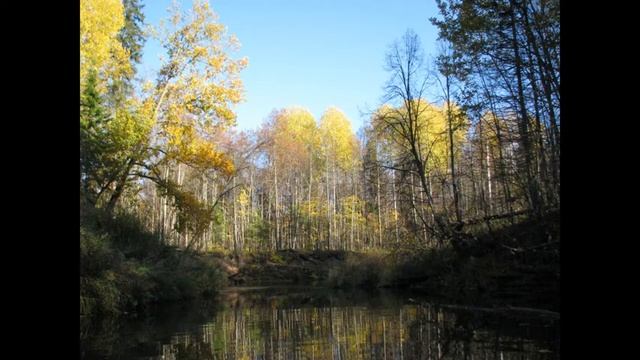 Юронга, сплав октябрь 2016 г., клип-фото смотреть онлайн
