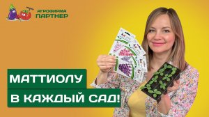 САМЫЙ ПРОСТОЙ И ЭФФЕКТИВНЫЙ СПОСОБ ПОСЕВА МАТТИОЛЫ