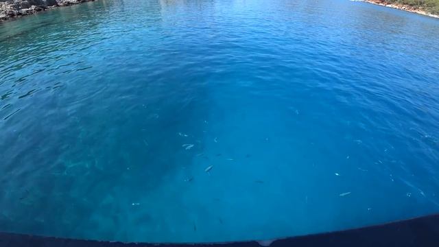 ОТДЫХ В ТУРЦИИ за копейки - ОЛЮДЕНИЗ и ФЕТХИЕ! Экскурсия на корабле, Рыбный рынок. Назад в Мармарис смотреть онлайн