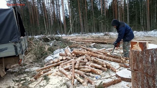 Как я заготавливаю дрова на зиму. Вершинки на дрова. смотреть онлайн