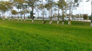САХАЛИНСКОЕ ЛЕТО В #ЮЖНО-САХАЛИНСКЕ / // #ГУЛЯНКА #SAHALIN