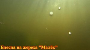 Блесна Малек типа Колонель.