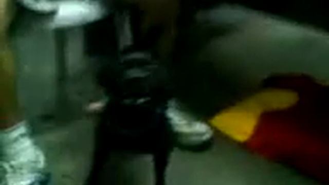 dog attack men! собака кусает человека смотреть онлайн