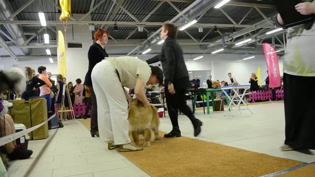 Суки промежуток ЛС 2 2 смотреть онлайн