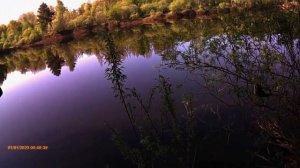Тест фидерных самоподсекателей. Есть смысл использовать