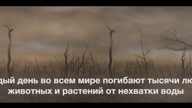Берегите воду ради жизни! смотреть онлайн