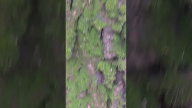 Как найти север, а очень просто смотреть онлайн