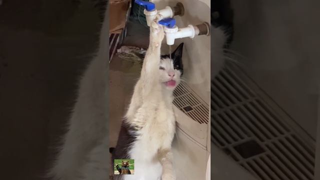 Когда после выходных пришел на работу