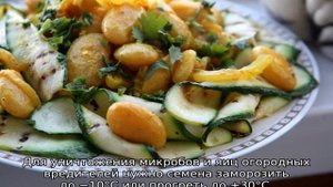 Лимская фасоль