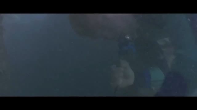 Double Team - Action Movie full movie English Action Movies смотреть онлайн