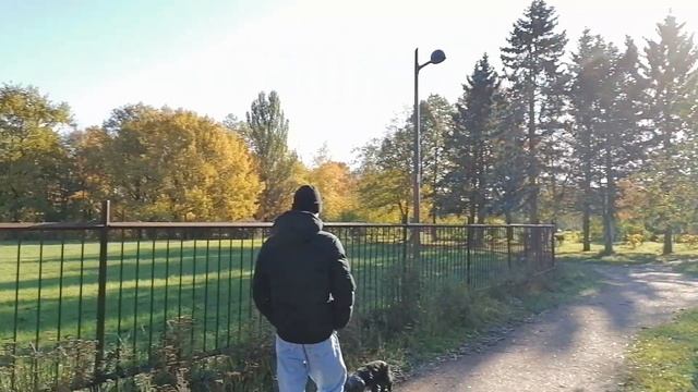 Санкт-Петербург. Южно-Приморский парк. Пруд "Восьмёрка". 21.10.2023.