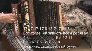 Розовые розы с нотами в цифрах